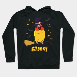 SPOOKY sun conure Hoodie